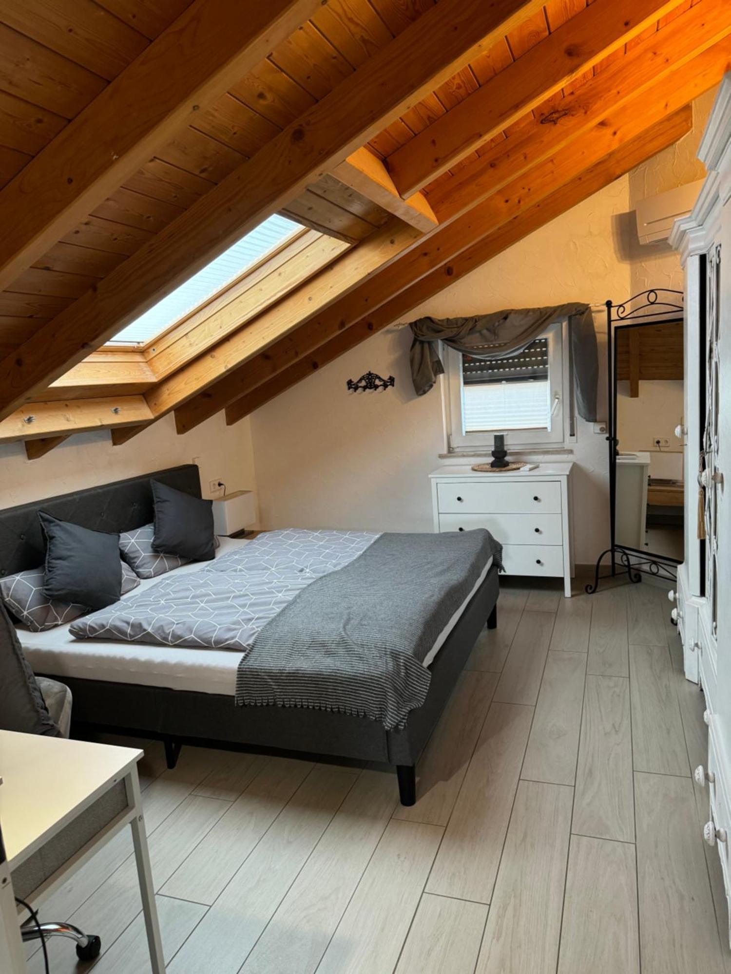 Spacy 3 Bedroom Plus Sleeping Couch Apartment Work&Travel Close To Heidelberg Dielheim Exterior foto
